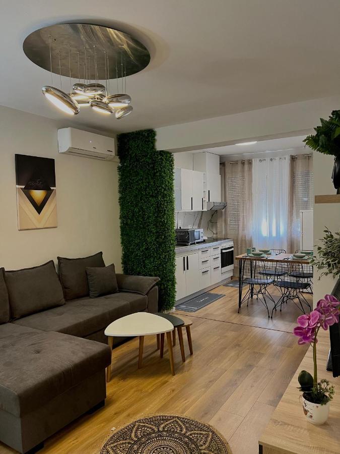 Pine Apartment Tirana Extérieur photo